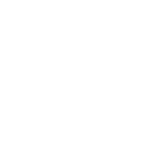 icon-03 copy white